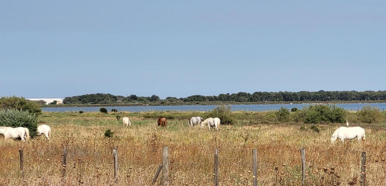 La Cigale De Mer A 100 M De La Plage Et Du Centre Ville Du Grau Du Roi Le Grau-du-Roi Eksteriør billede